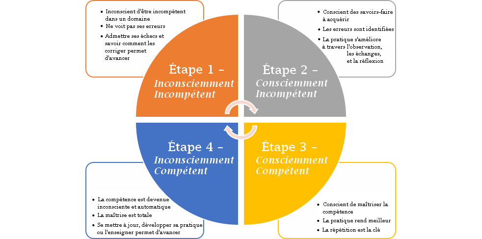 4-niveaux-de-compétence